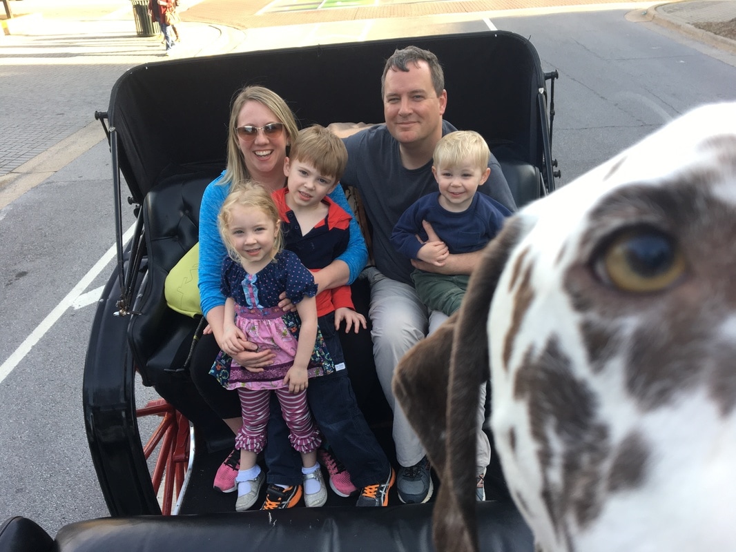 Family pictures inside a carriage driving around downtown Chattanooga, Tennessee. Dog also pictured.