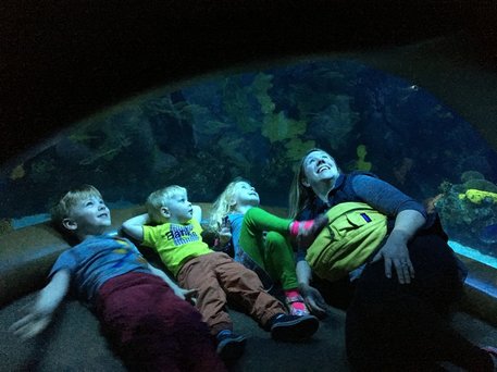 A mom and three children looking at fish at the Chattanooga Aquarium